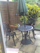 hen night! 15-06-08_1722 - Copy